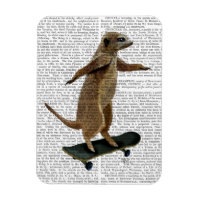 Meerkat auf Skateboard 2