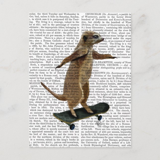 Meerkat auf Skateboard 2 Postkarte (Vorderseite)