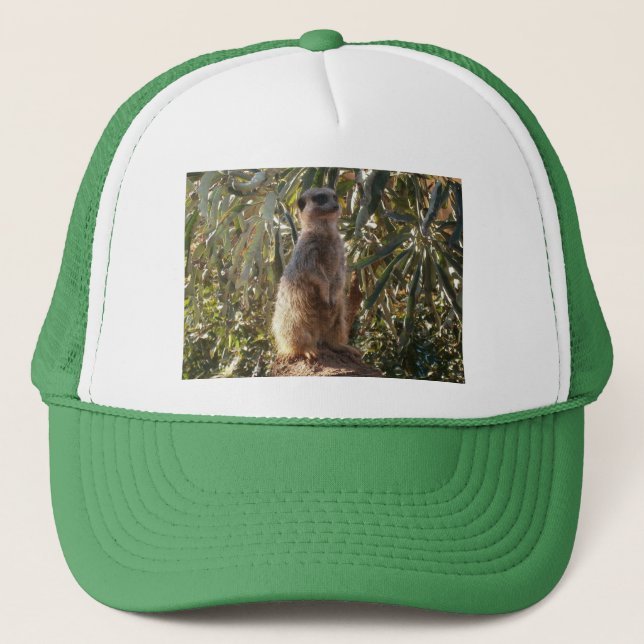 Meerkat auf Wachdienst, Truckerkappe (Vorderseite)