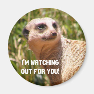 Meerkat Ausblick Magnet