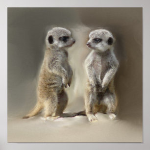 Meerkat Babyzwillinge Poster