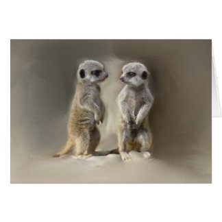 Meerkat bébé jumeaux