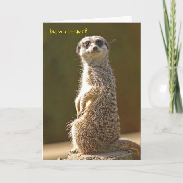 Meerkat Birthday Card Karte (Vorderseite)