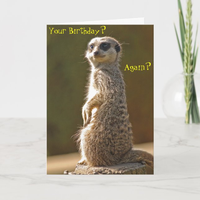 Meerkat Birthday Card Karte (Vorderseite)