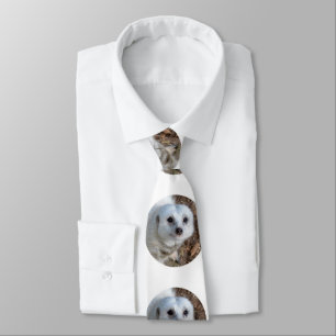 Meerkat Blanc, Cravate Silky Mens.