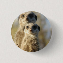 Meerkat Button