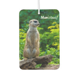 Meerkat Car Lufterfrischer