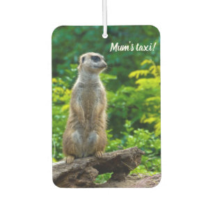 Meerkat Car Lufterfrischer