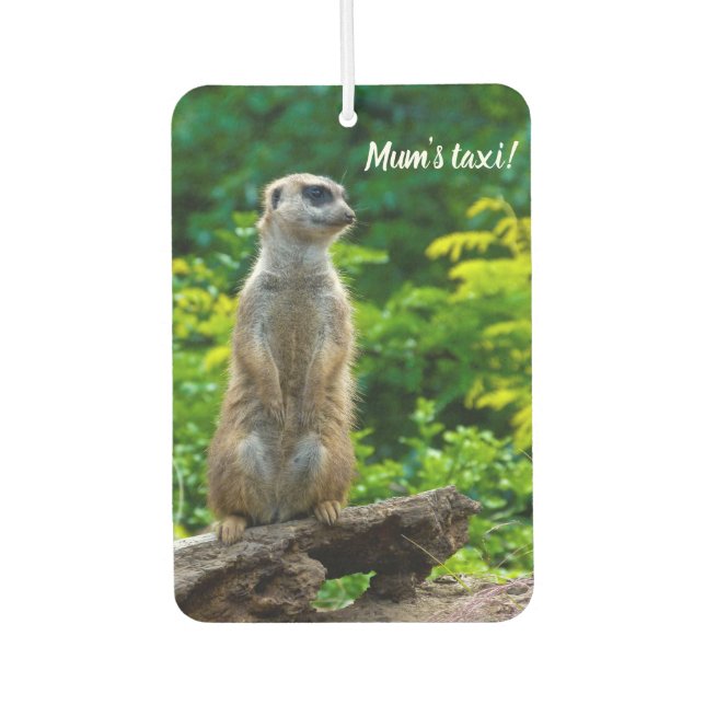 Meerkat Car Lufterfrischer (Vorderseite)