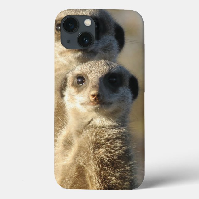 Meerkat Case-Mate iPhone Hülle (Rückseite)
