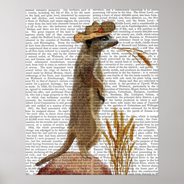 Meerkat Cowboy Poster (Vorne)