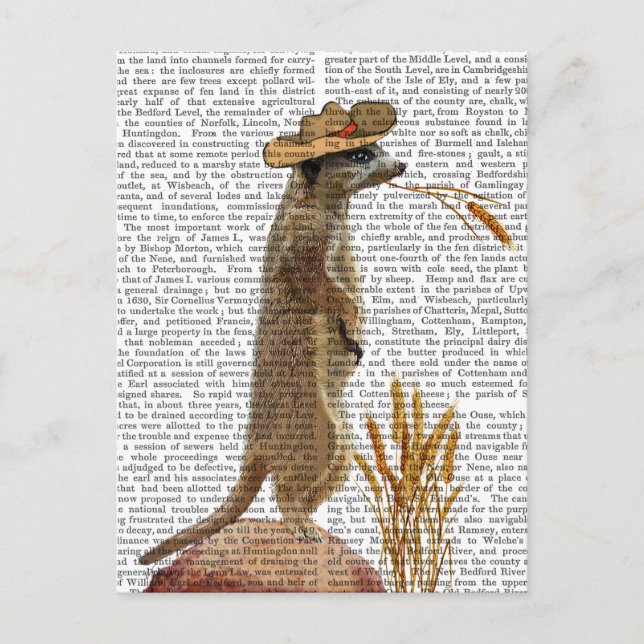 Meerkat Cowboy Postkarte (Vorderseite)