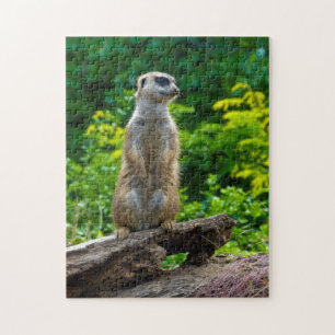 Meerkat dans les bois Jigsaw puzzle
