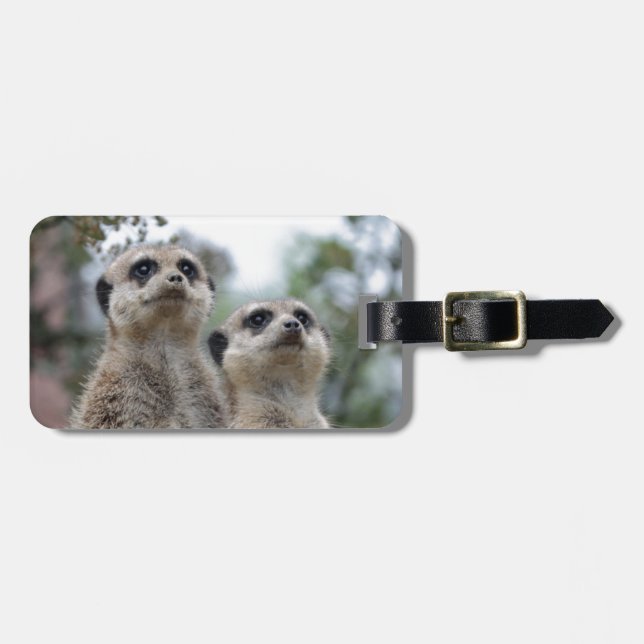 Meerkat - Dreamtem Gepäckanhänger (Vorderseite horizontal)