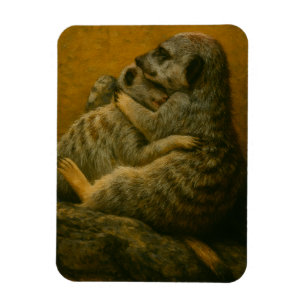 Meerkat Embrace - Heartfelt Wildlife Art Print Magnet