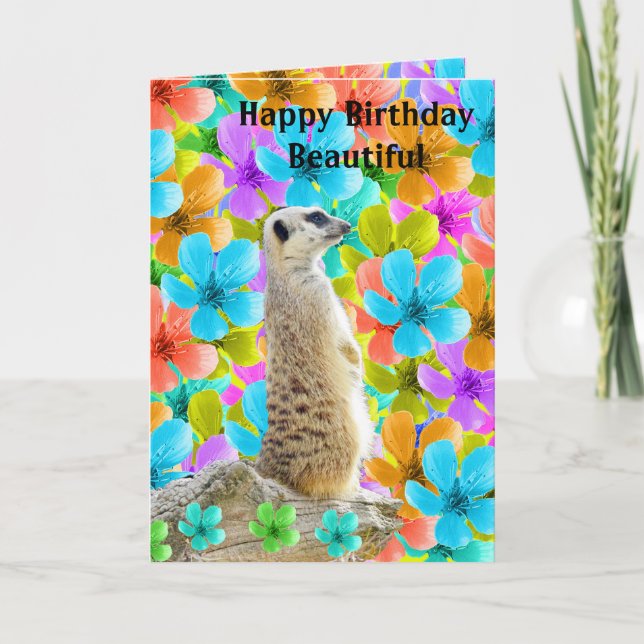 Meerkat Et Blossoms Carte Anniversaire, (Devant)