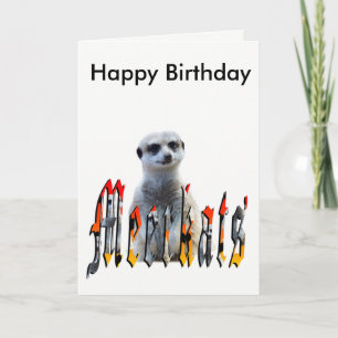 Meerkat Et Logo, Bonne Carte Anniversaire