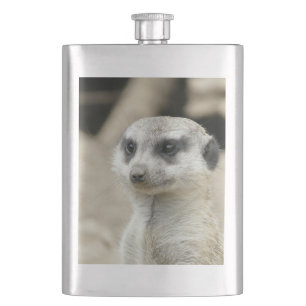 Meerkat Flachmann