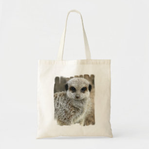 Meerkat font face au petit sac