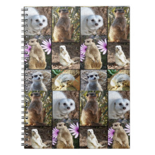 Meerkat FotoCollage, Notizblock