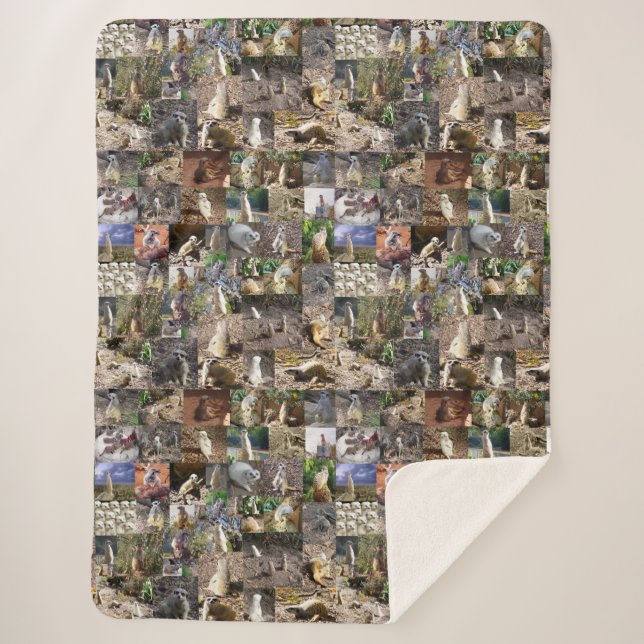 Meerkat FotoCollage, Sherpadecke (Vorderseite)