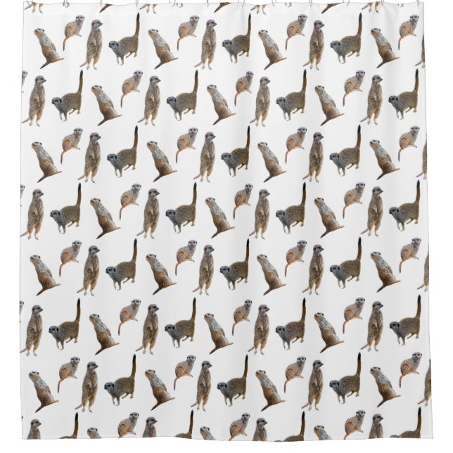Meerkat Frenzy Duschvorhang (Farbe auswählen) (Vorderseite)