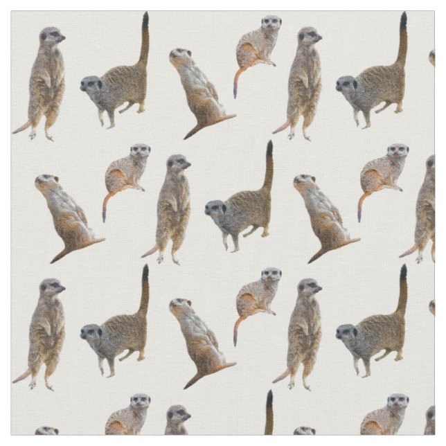 Meerkat Frenzy Fabric (Farbe auswählen) Stoff (Nahaufnahme)