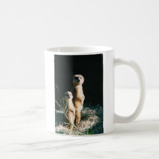 Meerkat Freund-Tasse Kaffeetasse