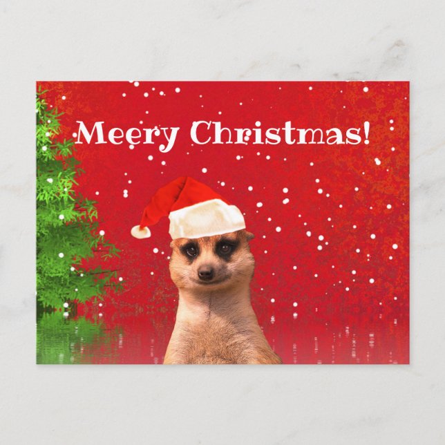 Meerkat Frohe Weihnachten Weihnachten Weihnachten  Postkarte (Vorderseite)
