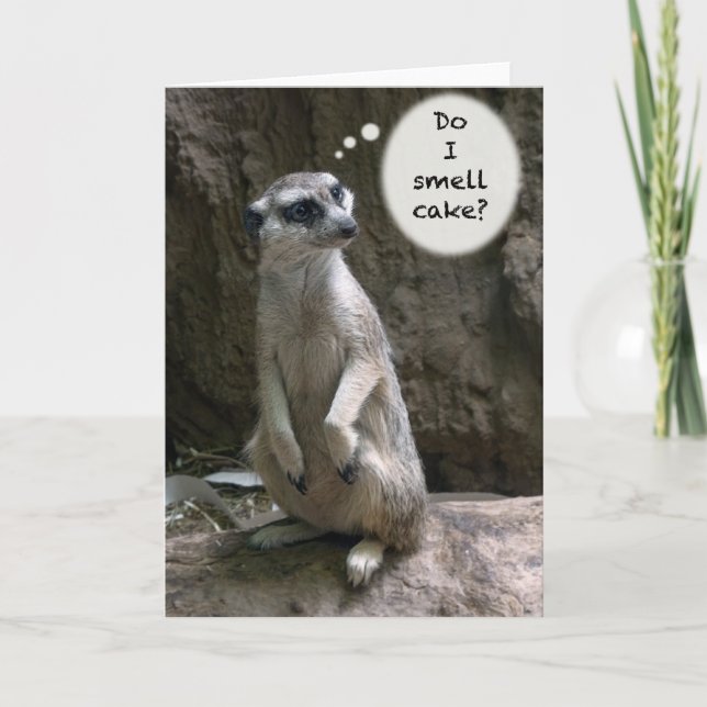 Meerkat Geburtstagskarte Karte (Vorderseite)