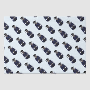 Meerkat Graduate Gown Abschluss Seidenpapier