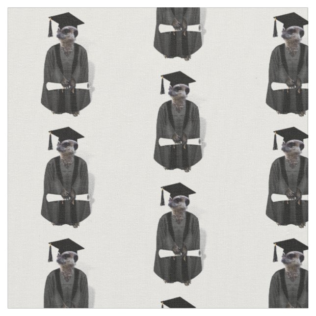 Meerkat Graduate mit Diplom Stoff (Nahaufnahme)