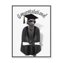 Meerkat Graduate W/Gray Gown & Black Sash
