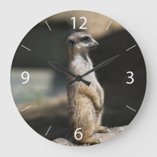 Meerkat Große Wanduhr