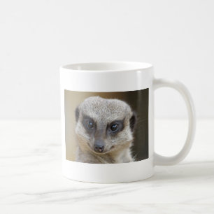 Meerkat herauf nahes kaffeetasse