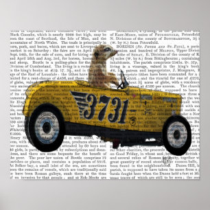Meerkat im Frisierte Auto Poster