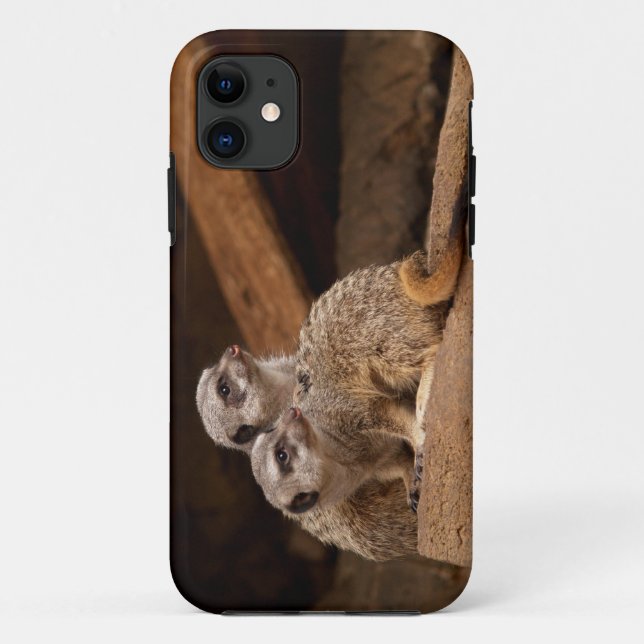 Meerkat iPhone 5 Case-Mate iPhone Hülle (Rückseite)