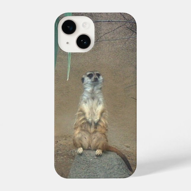 Meerkat iPhone Case 14 Hülle (Rückseite)