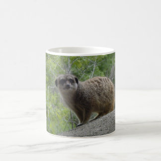 Meerkat Kaffeetasse