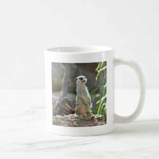 Meerkat Kaffeetasse