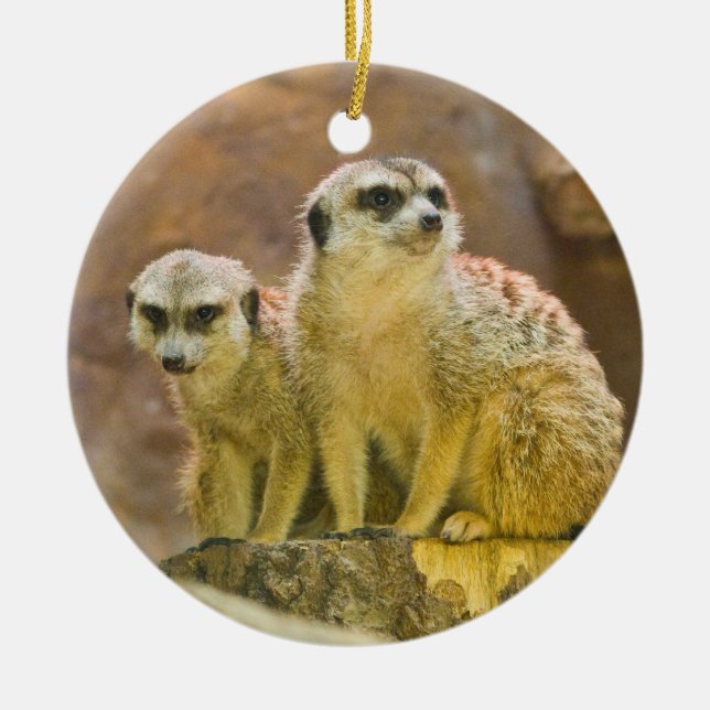 meerkat keramikornament (Vorne)