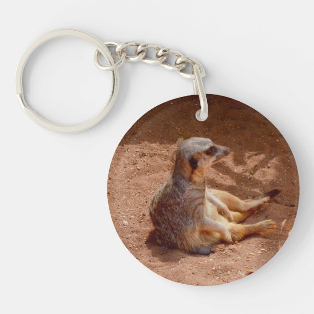 Meerkat Lazy Days, (Devant)