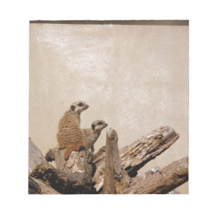 Meerkat Lookout Notizblock