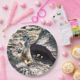 Meerkat Mama mit ihren Kindern, Papier-Party-Telle Pappteller