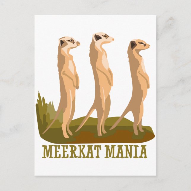 Meerkat Mania Postkarte (Vorderseite)
