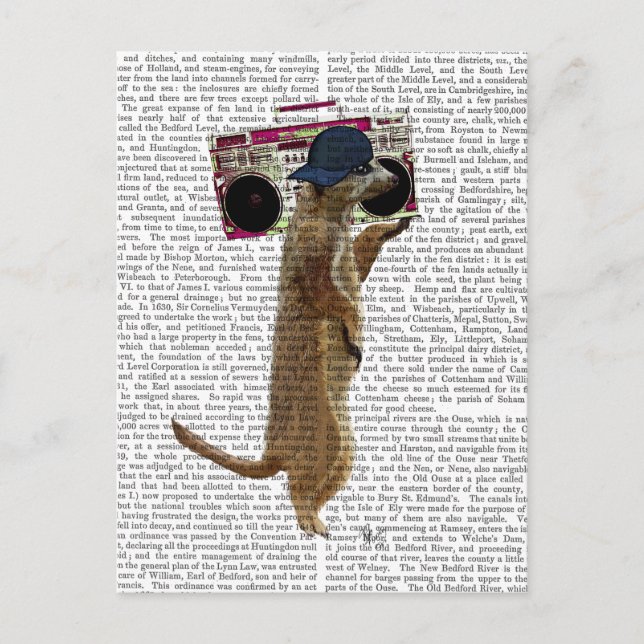 Meerkat mit Boom Box Ghetto Blaster 2 Postkarte (Vorderseite)