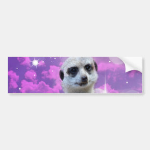 Meerkat mit Sparkle Autoaufkleber