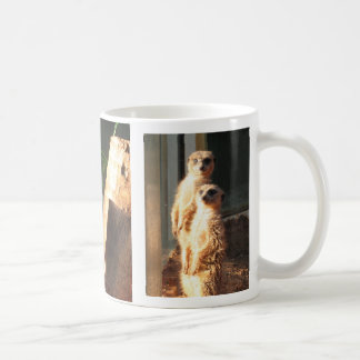 Meerkat Morgen Kaffeetasse