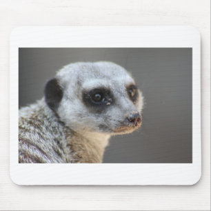 Meerkat Mousepad