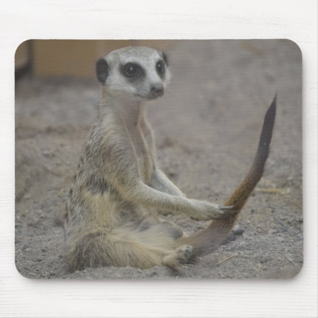 Meerkat Mousepad (Vorne)